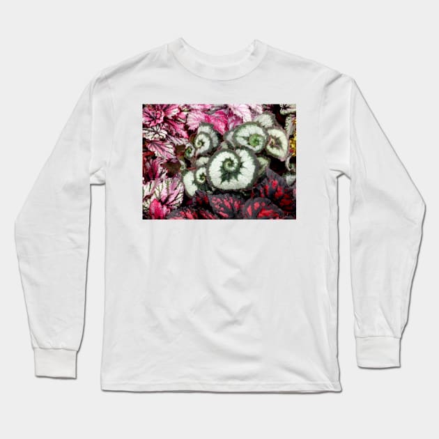 Begonia Escargot Long Sleeve T-Shirt by pinkal